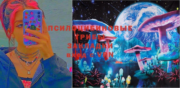 ГАЛЛЮЦИНОГЕННЫЕ ГРИБЫ Горнозаводск