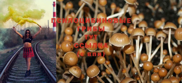 ГАЛЛЮЦИНОГЕННЫЕ ГРИБЫ Горнозаводск