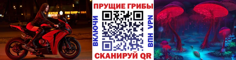 Галлюциногенные грибы GOLDEN TEACHER  закладки  Мглин 